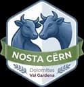 Nosta Cern Logo