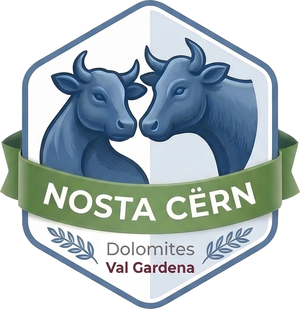 Nosta Cërn Logo